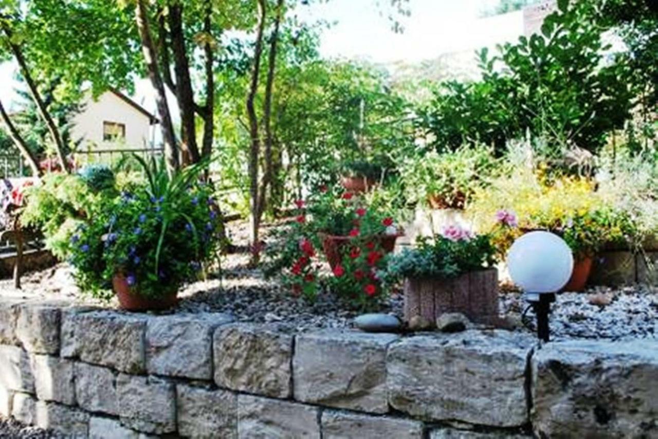 Appartement Held - Natur Vor Den Toren Nurnbergs Mimberg Exteriör bild